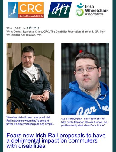 Screen shot of Disability Federation of Ireland press release