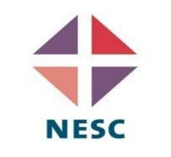 nesc council disability federation