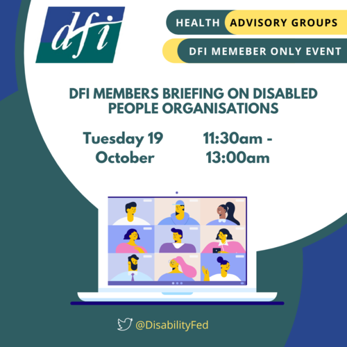 SEPT DFI Autism Advisory Group Meeting (5)