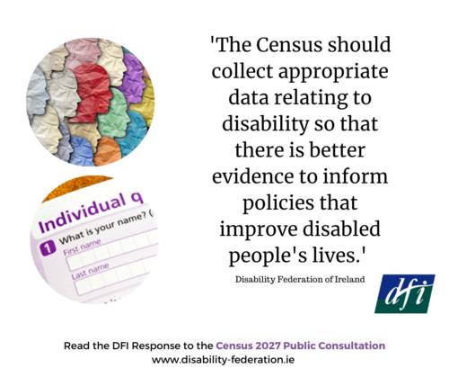 DFI Submission to CSO re Census 2027