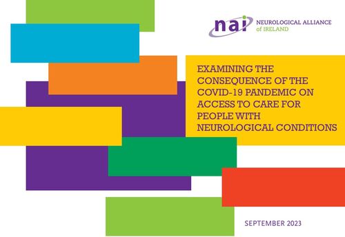 NAI Report