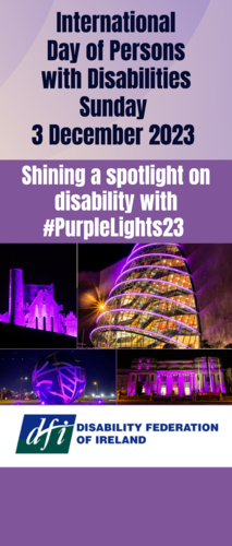 Purple Lights Banner 2023 