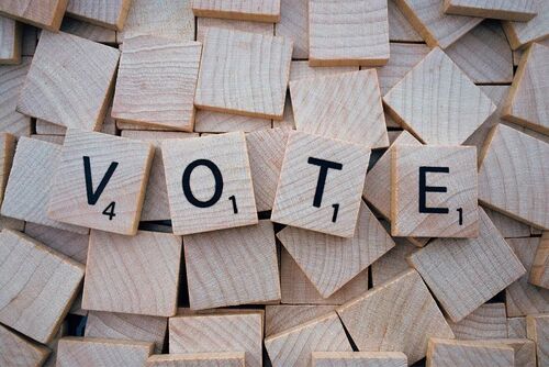 VOte Ms Ireland