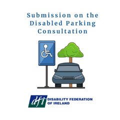 DFI Submission to Department of Transport on Disabled Parking