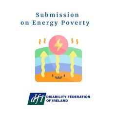 EPAP Consultation May 2024 - DFI Submission