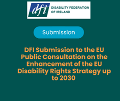 DFI Submission to the EU Public Consultation on the Enhancement of the EU Disability Rights Strategy up to 2030 