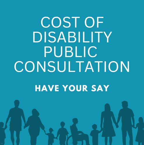 Cost of Disability Visual 3