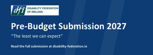 DFI_PreBudget2027_websitr banner