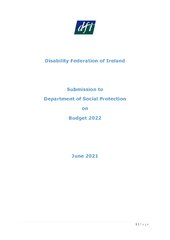 DFI Prebudget Submission to Department of Social Protection for Budget 2022