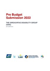 Oireachtas Disability Group Pre Budget Submission 2022