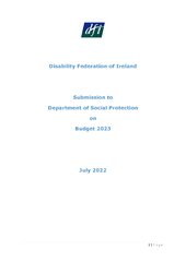 DFI Pre-Budget Submission to the Dept. of Social Protection for Budget 2023