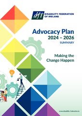 DFI Advocacy Plan 2024 - 2026 Summary