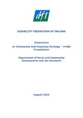 DFI’s Submission on the new Community and Voluntary Strategy