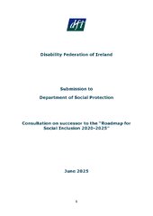 DFI’s Submission to the Roadmap for Social Inclusion successor strategy consultation