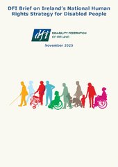 DFI Brief on Ireland’s National Human Rights Strategy: Plain English version