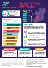 Disability Profile - County Clare