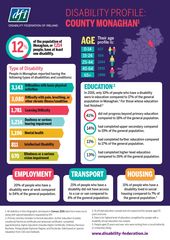 Disability Profile - Monaghan