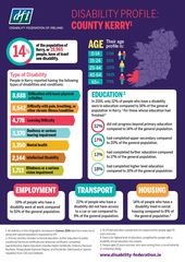 Disability Profile - Kerry