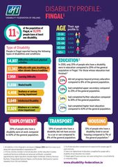 Disability Profile - Fingal